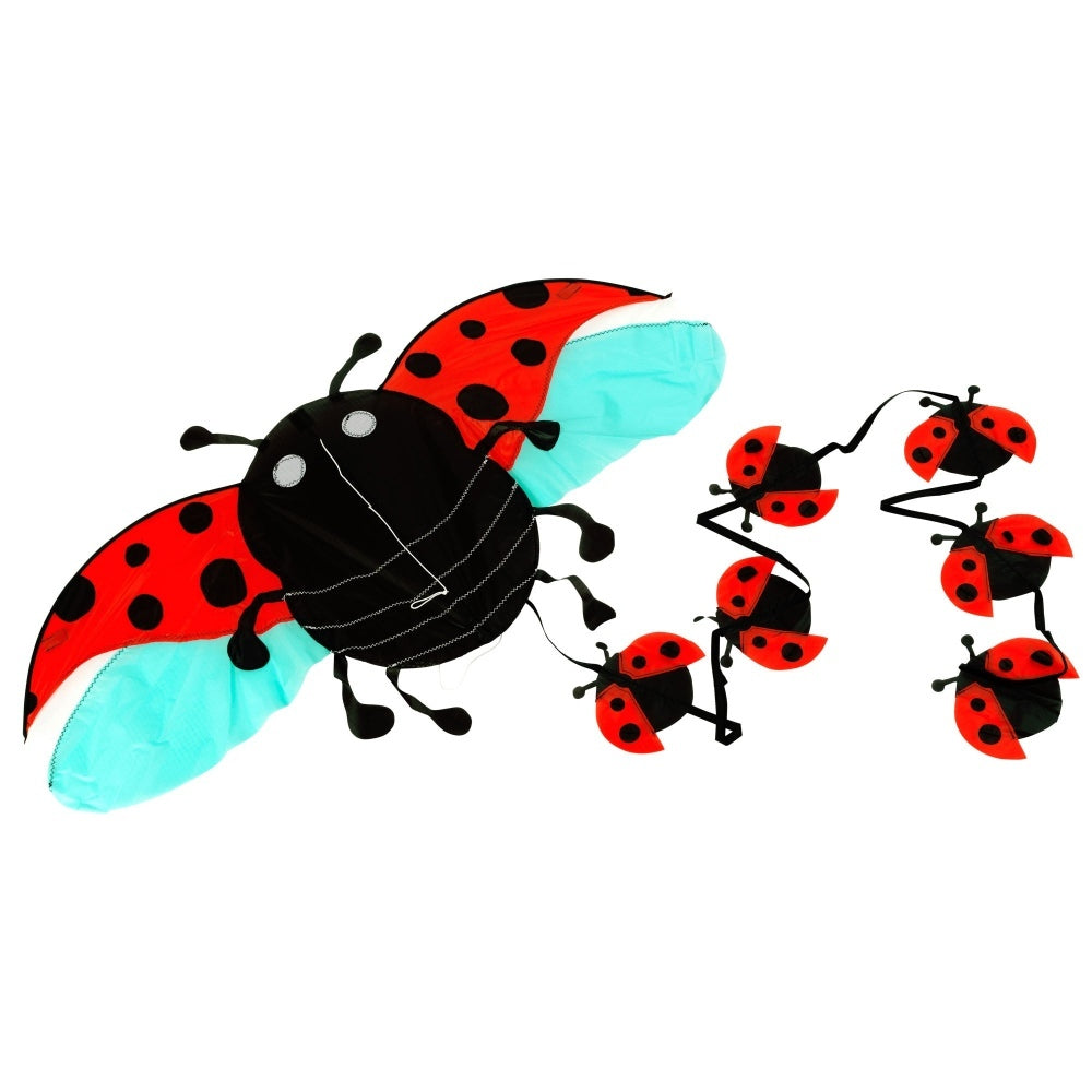 Brookite Ladybird Fun Kite