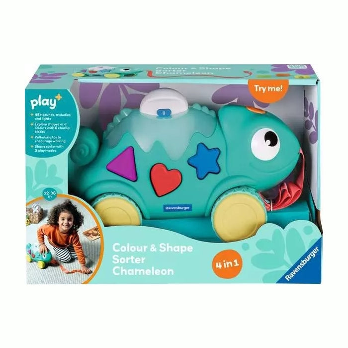 Colour and Shape Sorter Chameleon
