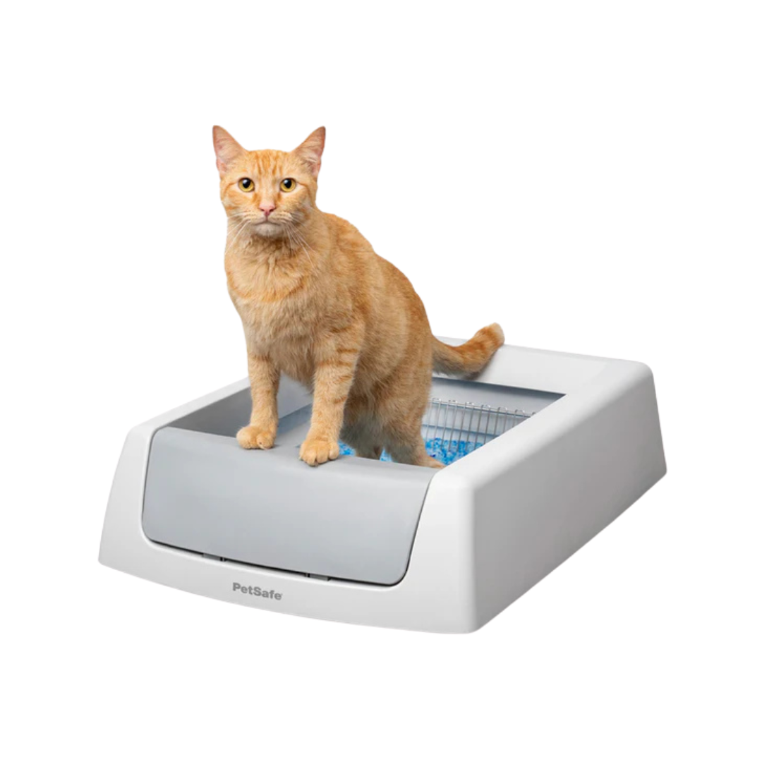Automatic Cat Litter Box – ScoopFree Complete